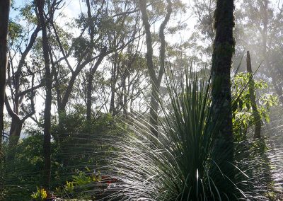 Ridge-Cottage-Binna-Burra-Lamington-Retreat